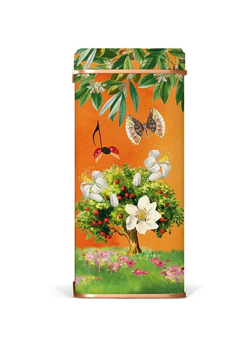 Lady Joseph Keksit Lady Joseph Keksilajitelma lahjalaatikossa