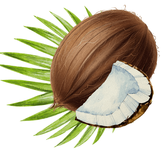 Lady Joseph Keksit Lady Joseph Kookos & Tumma Suklaa keksit 130g