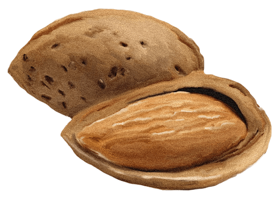 Lady Joseph Keksit Lady Joseph Manteli & Tumma Suklaa keksit 130g