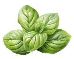 Lady Joseph Keksit Lady Joseph MAXI Cracker; Basilika  & Oliiviöljy 150g