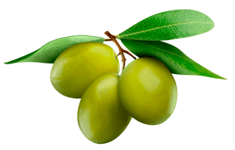 Lady Joseph Keksit Lady Joseph MAXI Cracker; Vihreät oliivit  & Oliiviöljy 150g