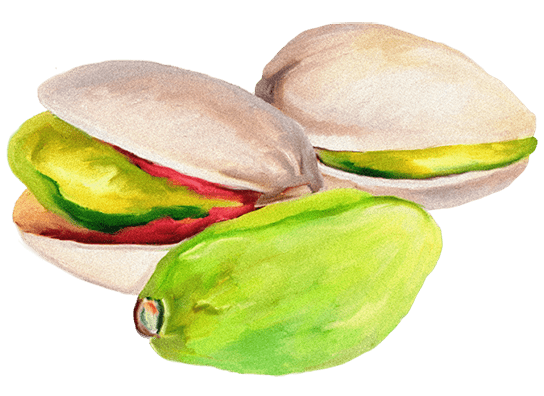 Lady Joseph Keksit Lady Joseph Pistaasi & Tumma Suklaa keksit 130g