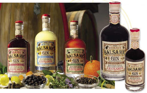 
                  
                    Leonardi Leonardi Balsamic GIN Reserve
                  
                